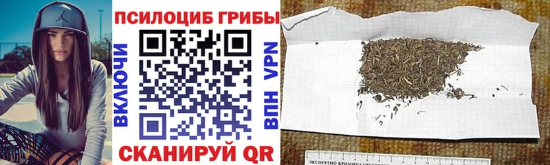Купить  Новохопёрск  Галлюциногенные грибы прущие грибы 