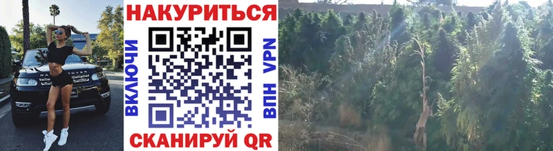 Купить  Новохопёрск  МАРИХУАНА LSD WEED 